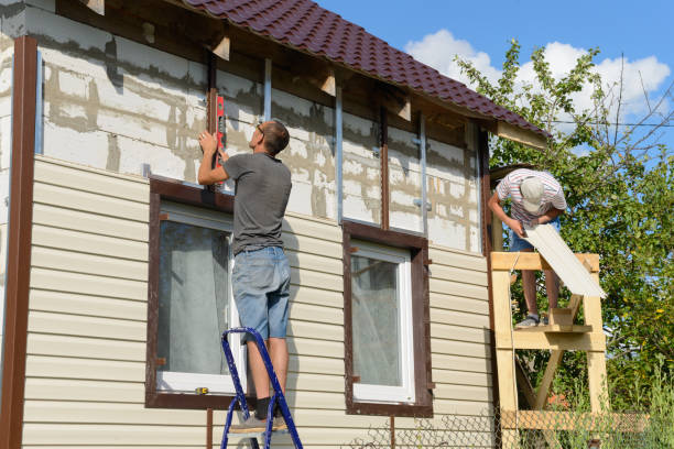 Best Steel Siding Installation  in Cole Camp, MO