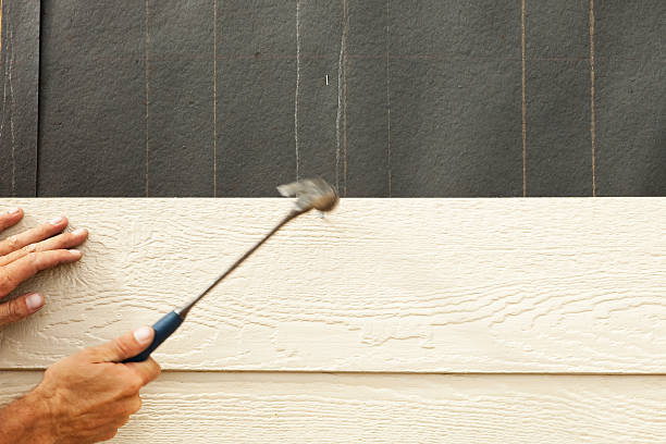Trusted Cole Camp, MO Siding Experts